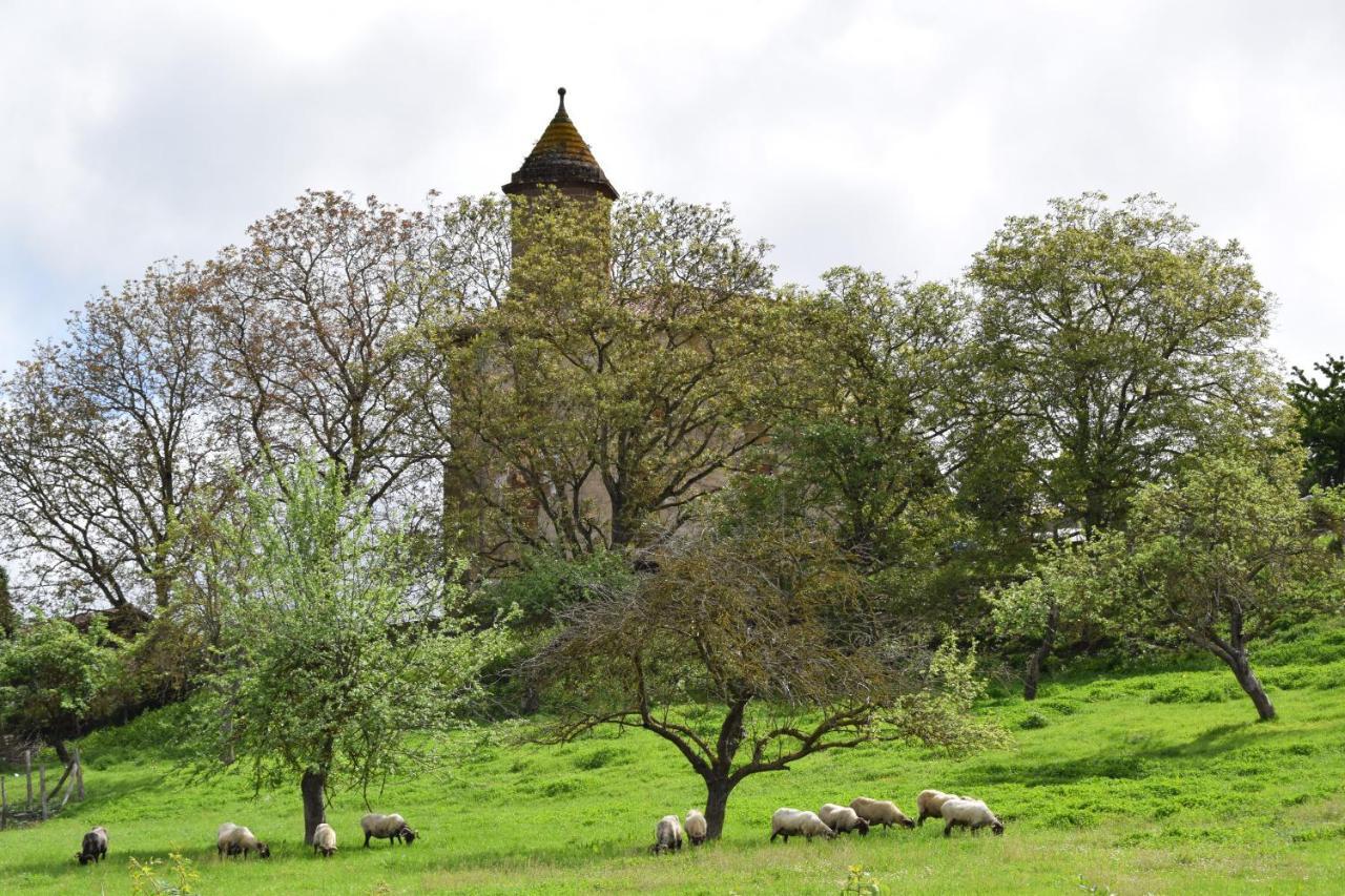 Lizaso Casa Rural Galain المظهر الخارجي الصورة